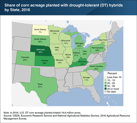 Drought-tolerant corn accounted for about 40 percent of corn acreage in drought-prone Nebraska and Kansas in 2016