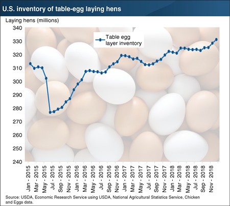 U.S. inventory of table-egg laying hens grew to its highest levels ever in 2018
