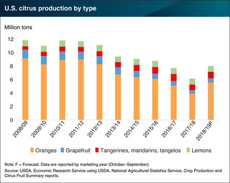 U.S. citrus production set to rebound in 2018/19