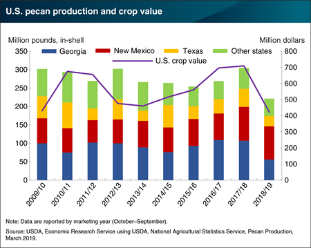 U.S. pecan production and crop value down in 2018/19