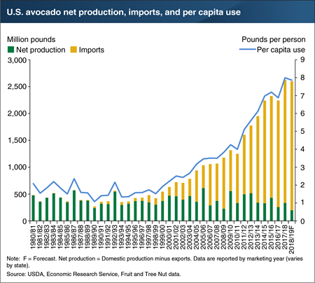 Avocado imports could rise further in 2018/19 as a weak crop outlook in California reduces domestic supply