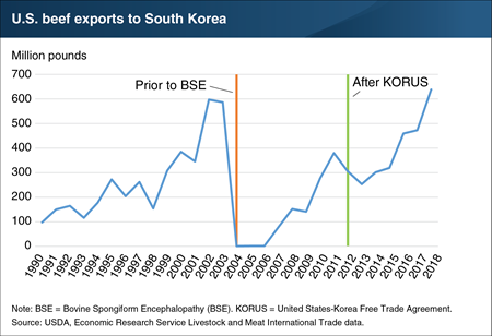 U.S. beef exports to South Korea reached record high in 2018