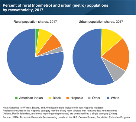 Racial and ethnic minorities made up 22 percent of the rural population in 2017 compared to 42 percent in urban areas