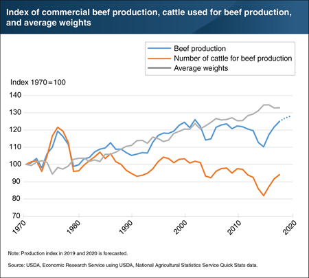 Since 1970, increasing cattle weights have fueled growth of U.S. beef production as cattle used have decreased