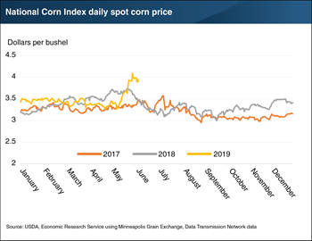 Corn Spot Price Chart