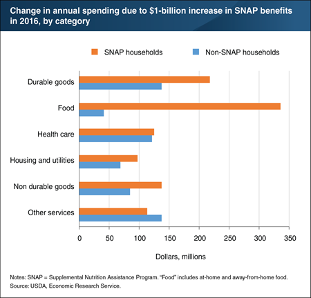 Higher SNAP benefits expand spending on other goods as well as food