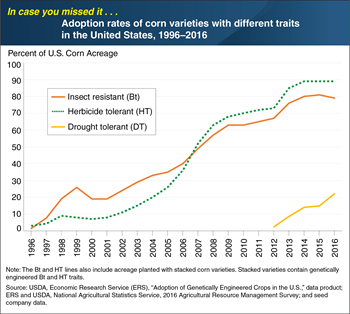 Corn Spread Charts