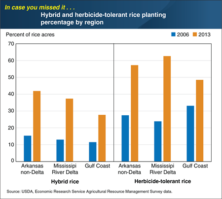 ICYMI... Rice producers in the southern United States increased adoption of hybrid and herbicide-tolerant seed varieties between 2006 and 2013