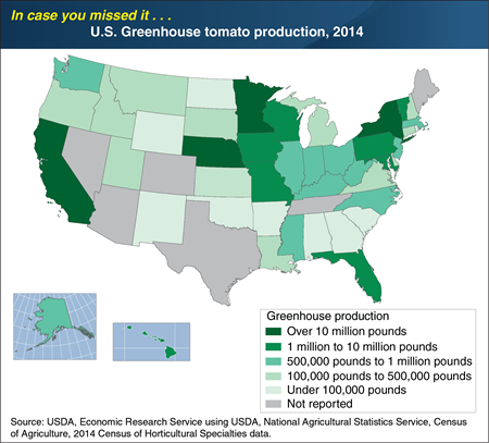 ICYMI... Greenhouse tomato production spans most U.S. States