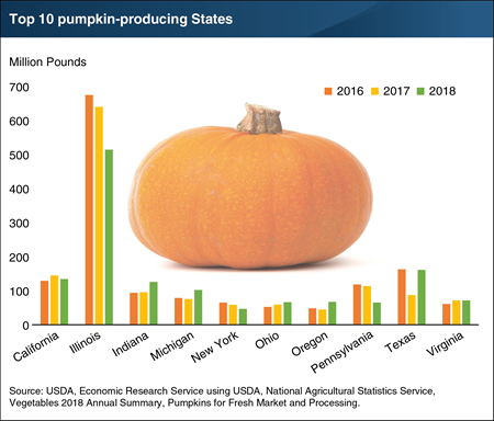 Most U.S. pumpkins are produced in 10 states