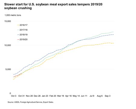Slower start for U.S. soybean meal export sales tempers 2019/20 soybean crushing
