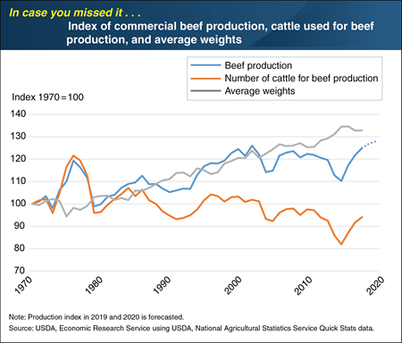 ICYMI... Since 1970, increasing cattle weights have fueled growth of U.S. beef production as cattle used have decreased