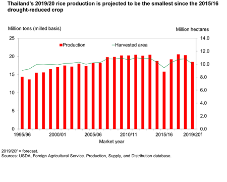Thailand's 2019/20 rice production is projected to be the smallest since the 2015/16 drought-reduced crop.