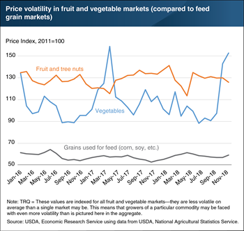 Volatility in market prices for fruit and vegetables helps drive food loss during production and distribution