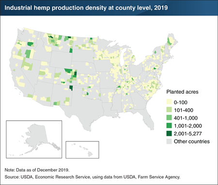 U.S. acres planted with industrial hemp expanded rapidly in 2019