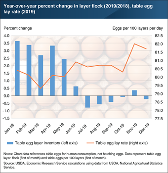 Record high table egg lay rates in the second half of 2019 drove up egg production despite reduced flock size