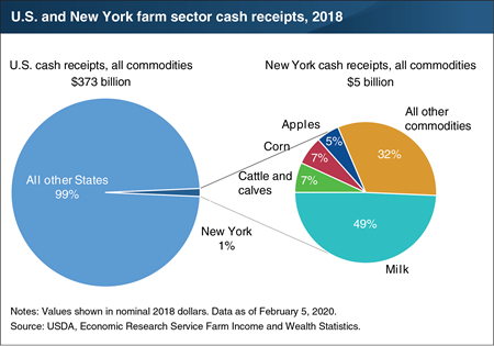 Milk sales accounted for nearly half of New York’s farm sector cash receipts in 2018