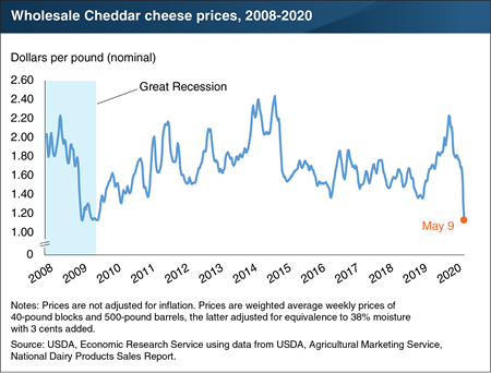 Wholesale price for Cheddar cheese falls sharply as demand falls