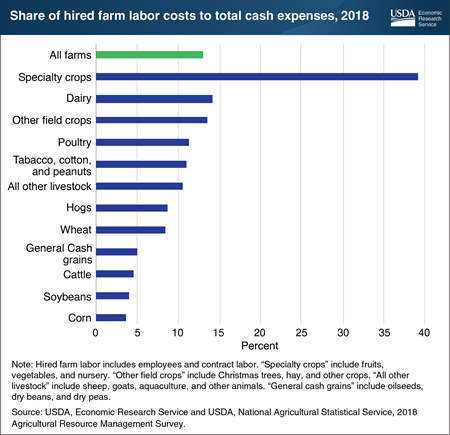 Labor costs on specialty crop farms accounted for 3 times as much of their total cash expenses as the average for all U.S. farms