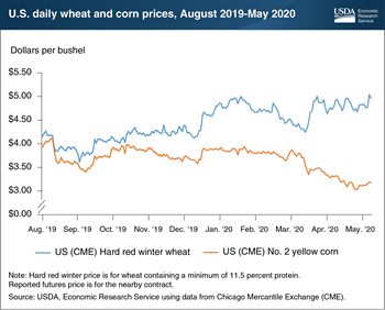 Prices for two key grains diverge on COVID-19-linked shifts in demand