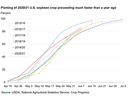 Planting of 2020/21 U.S. soybean crop proceeding much faster than a year ago