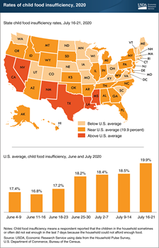 Child food insufficiency in mid-July 2020 varied by State