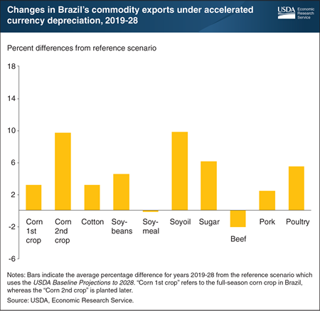 Brazil’s emergence as a competitor for the United States in global agricultural markets is rooted in currency depreciation