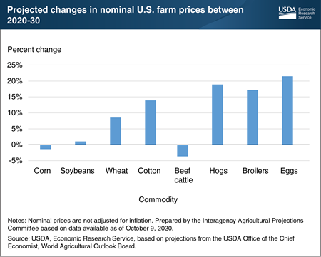 Economic recovery, competition shape projections of U.S. farm prices to 2030
