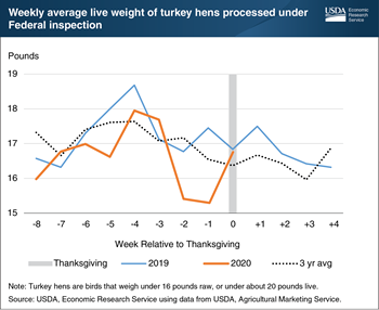 Smaller gatherings may have meant smaller turkeys on the Thanksgiving table