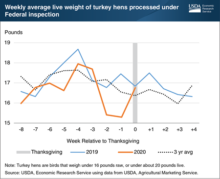 Smaller gatherings may have meant smaller turkeys on the Thanksgiving table