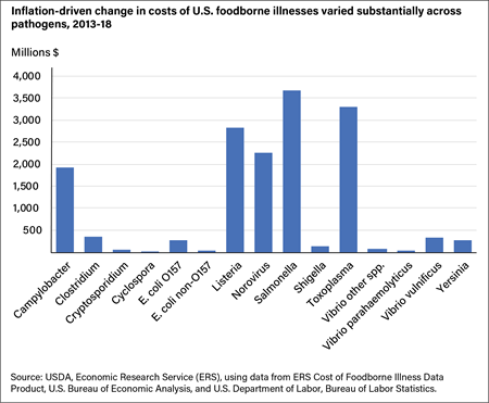 Bar chart showing the inflation-driven changes in costs of U.S. foodborne illnesses in millions of dollars by 15 pathogens from 2013 to 2018.