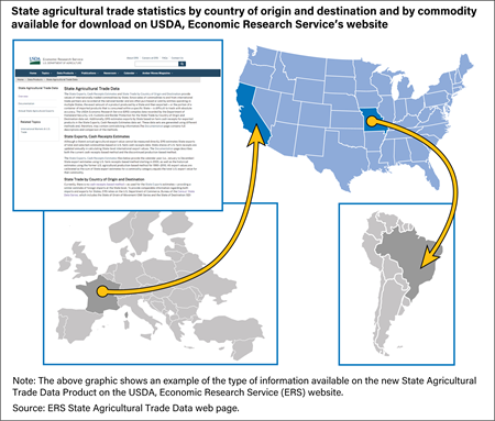 A graphic including an image captured of the State export data web page, with added visuals simulating the activity of agricultural trade between selected States and countries.
