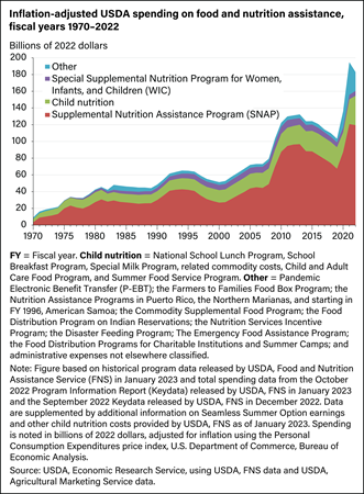 Chart showing inflation-adjusted USDA expenditures on food and nutrition assistance programs, fiscal years 1980–2021