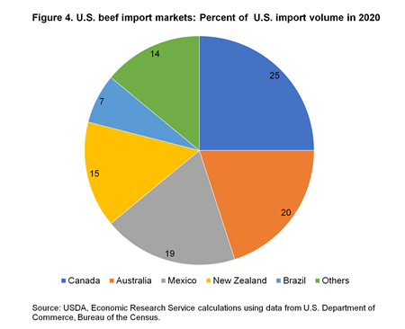 A pie chart showing U.S. import volume in 2020