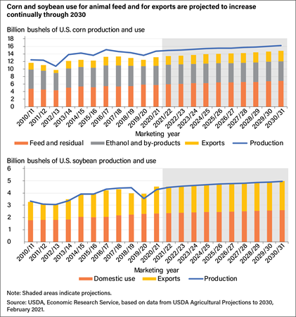 Two stacked bar charts with 2010–20 history and 2021–31 projections of both U.S. corn and soybean use and exports by category with production overlaid as a line, all showing gradual increases throughout the 2030/31 marketing year.