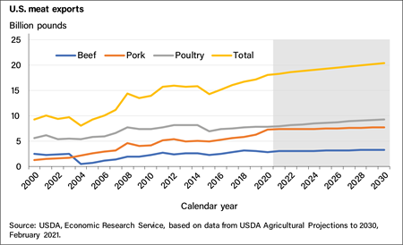 A line chart showing U.S. meat exports from 2000 projected through 2030 indicating beef, pork, and poultry exports all increasing to nearly 20 billion pounds by 2030.