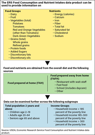 A graphic showing the types of information that can be found through USDA, Economic Research Service's new Food Consumption and Nutrient Intakes data product.