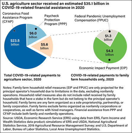 Pie chart showing the allocation of COVID-19-related Federal financial assistance by the major assistance programs. Most of the assistance to the sector came from the Corona Food Assistance Program ($23.5 billion).