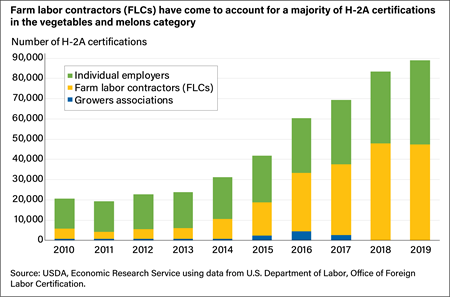 A stacked bar chart shows that farm labor contractors have come to account for a majority of H-2A certifications in the vegetables and melons product categories.