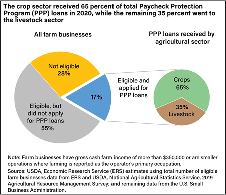 Two pie charts showing the percentage of farm businesses that received Paycheck Protection Program loans in 2020 and a breakout of those loans by farm sector.