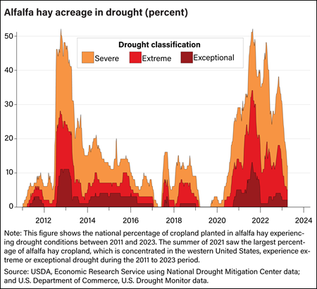 This chart represents the percent of U.S. alfalfa hay acreage in drought