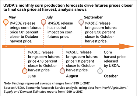Graphic showing the relationship established from 1999 to 2017 between World Agricultural Supply and Demand Estimates for production and corn futures prices.
