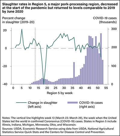 A line graphs depicting percent change in weekly hog slaughter superimposed on bar graphs depicting the number of COVID-19 cases (thousands) in Region 5.