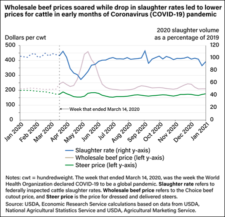 Line chart showing trends for steer and wholesale beef prices and beef cattle slaughter volume from January 2020 to January 2021.