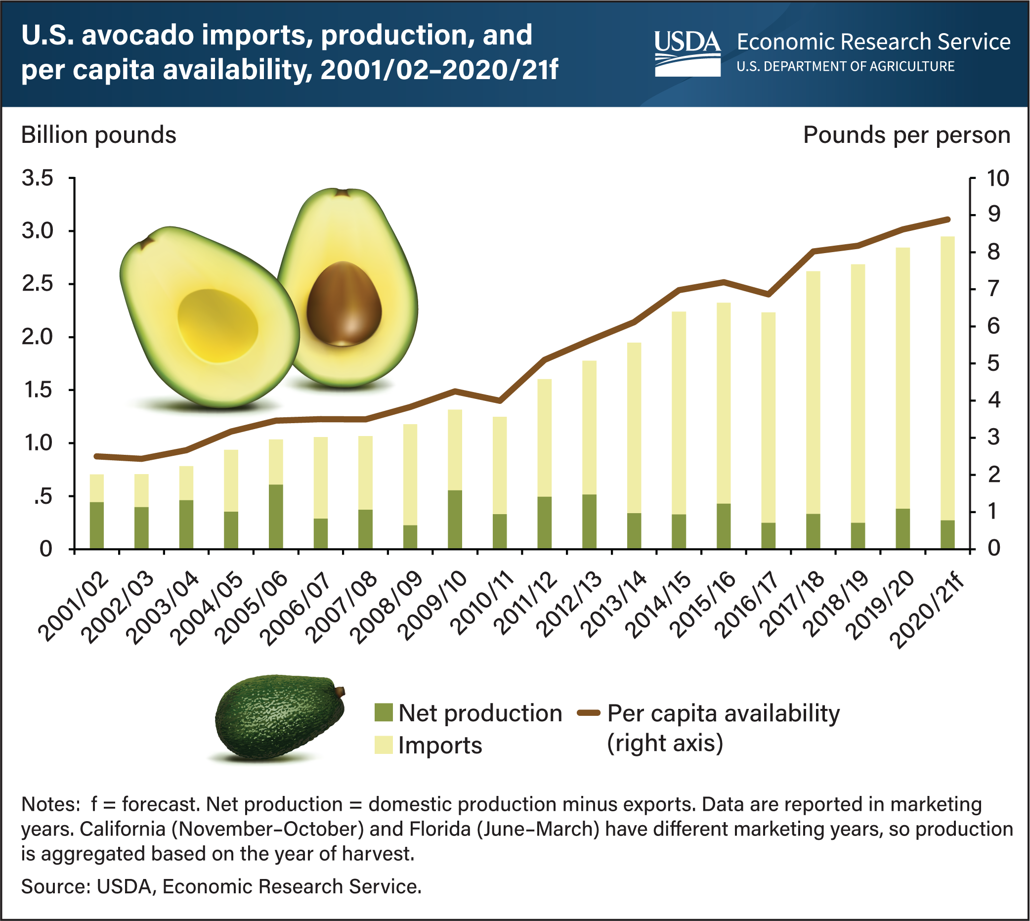 Current Situation of the Fresh Avocado Market in the US