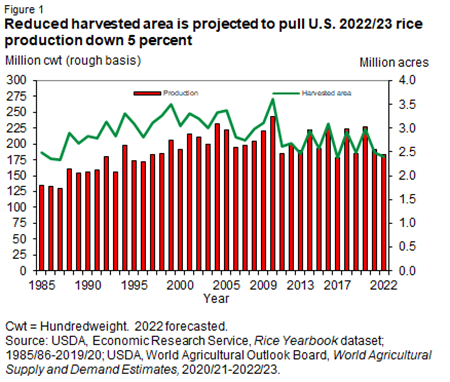 Reduced harvested area is projected to pull U.S. 2022/23 rice production down 5 percent