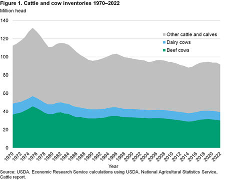 Area chart of Cattle and cow inventories 1970–2022