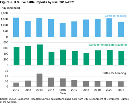 Bar chart of U.S. live cattle imports by use, 2012–2021