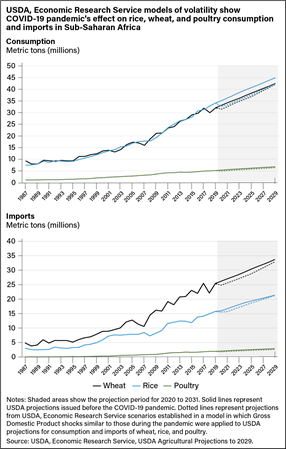 Two line charts showing trends in consumption and in imports of wheat, rice, and poultry in Sub-Saharan Africa from 1987 to 2020, with projections to 2029.