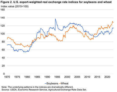 A figure of U.S. export-weighted real exchange rate indices for soybeans and wheat